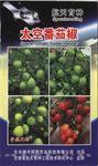 供应太空番茄椒辣椒种子