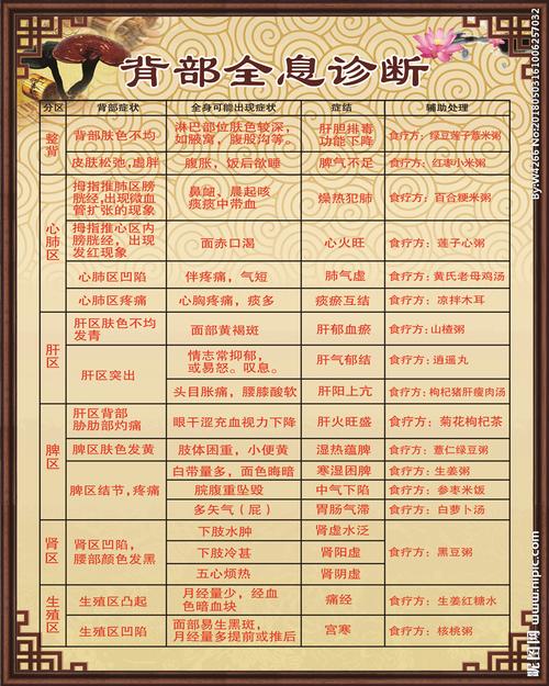 背部全息诊断图片