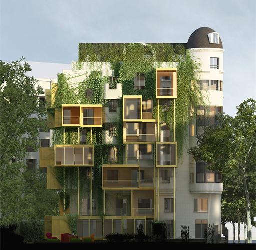 malka建筑事务所扩大他们的公寓面                    线