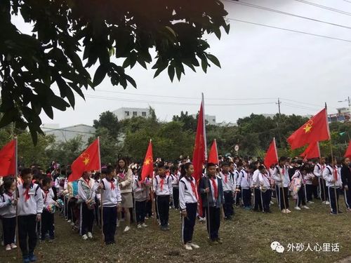 蓬中华侨小学开展清明节主题活动