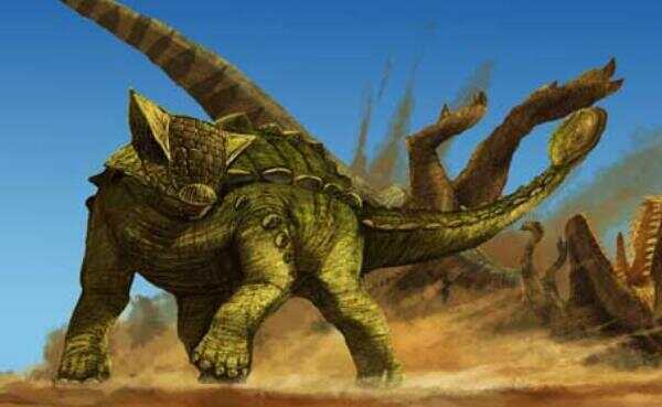 胄甲龙北美洲大型食草恐龙长7米距今6800万年前