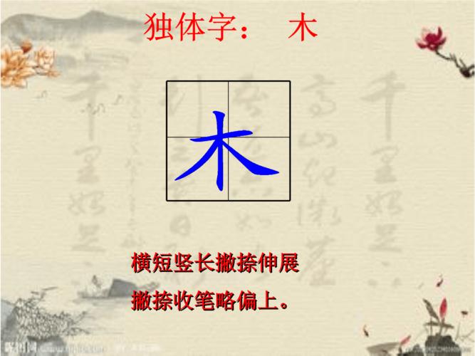 木和木字旁的字.ppt