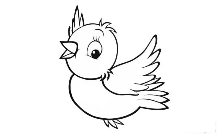 彩色小鸟简笔画画法_怎么画彩色小鸟的简笔画