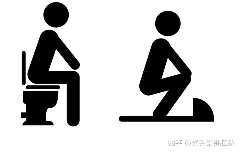 排便姿势:蹲便还是坐便?