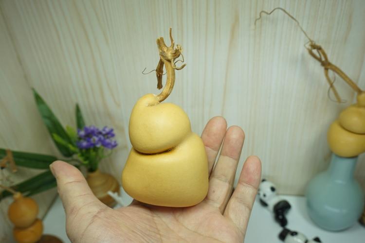 天津 山东聊城葫芦异型钱袋子鹅型葫芦