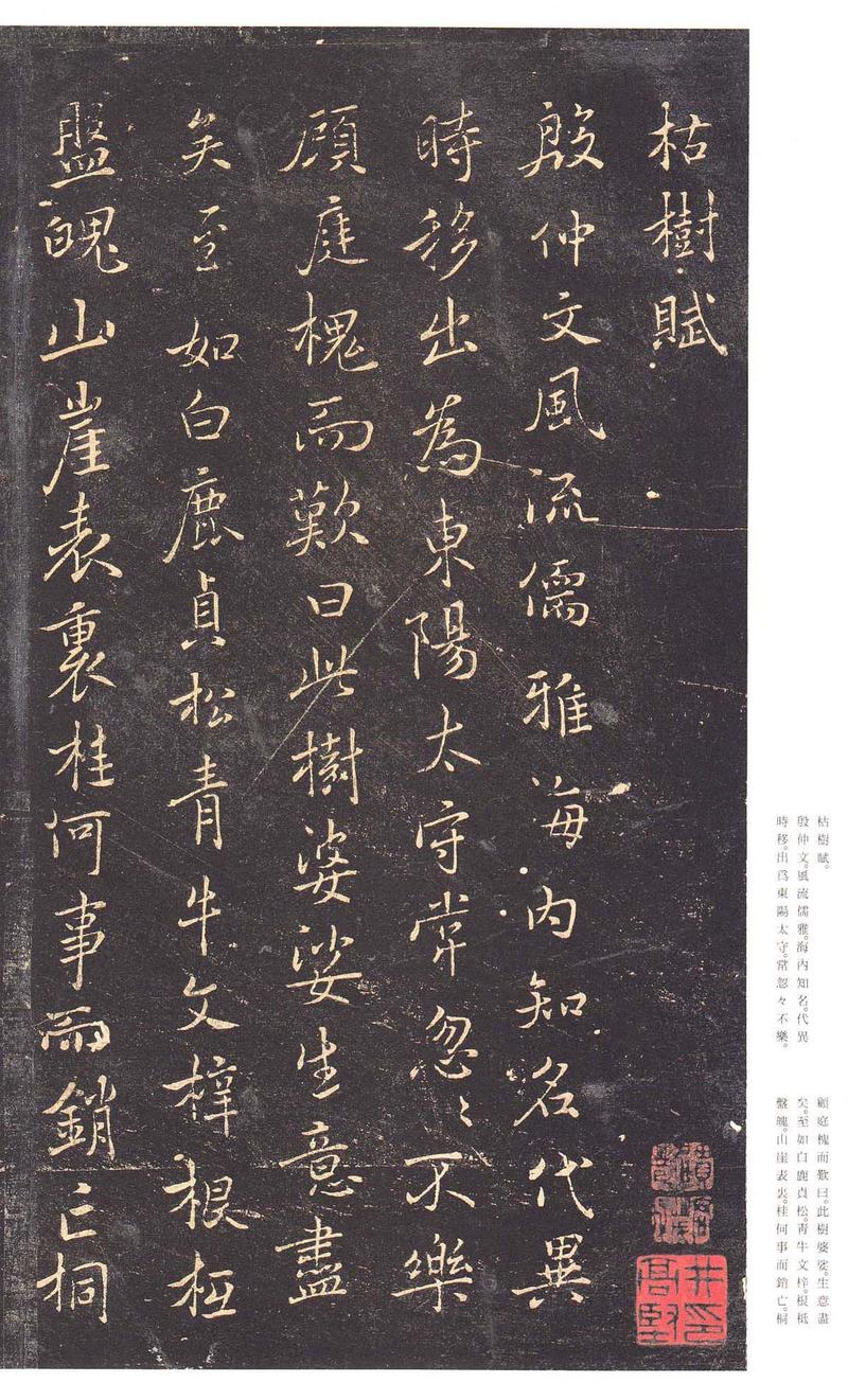 褚遂良《枯树赋》墨拓 册 行书 贞观四年(630)  日本三井