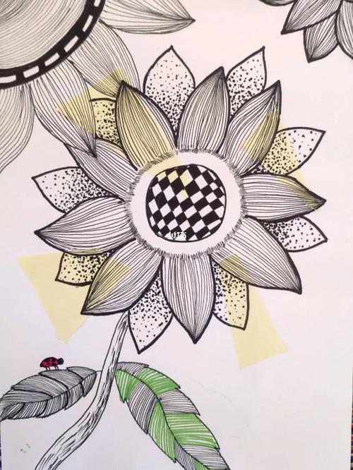 向日葵97线描_向日葵_线描_临摹_文化_绘画