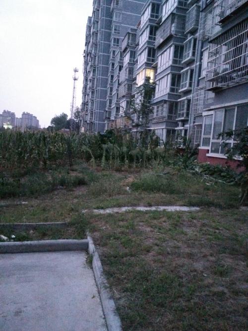 北京pk10万能码:杨凌神农景苑c区物业乱收费 管理存在严重问题