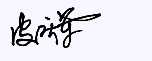 (皮庆军)这三个字的艺术签名