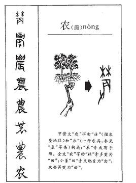 农(拼音:nóng)是汉语常用字,最早字形见于商代甲骨文.