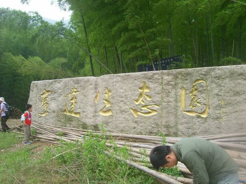 19号组织出发翻过宜兴茗岭山,穿越大竹林,成功逃票进园区,我们成功啦.