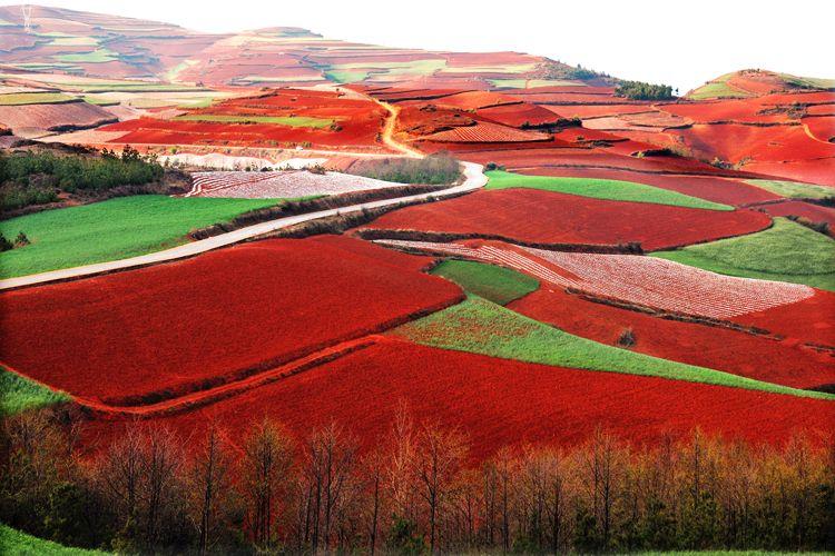 红土地