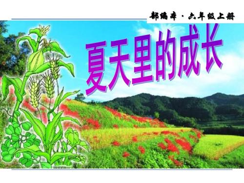 2019年秋统编版六年级语文上册 第15课《夏天里的成长》ppt新课件.ppt