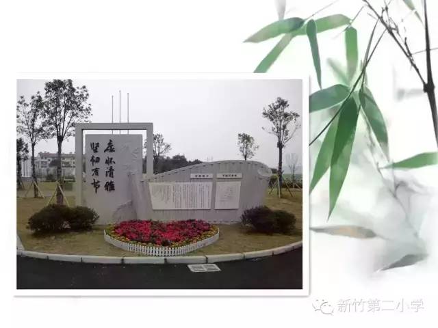 【隽雅新竹】竹苑特写:构建特色"新校园" 弘扬中国"竹"文化