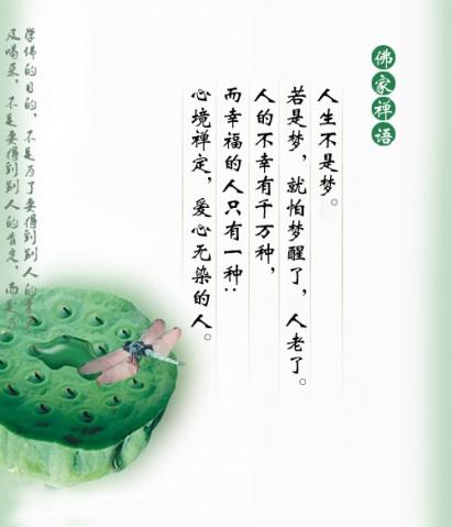 禅意人生(图)