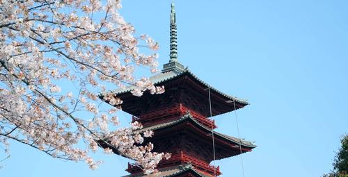 【4k】日本寺庙建筑_3840x1960_高清视频素材下载(编号:2505323)_实拍