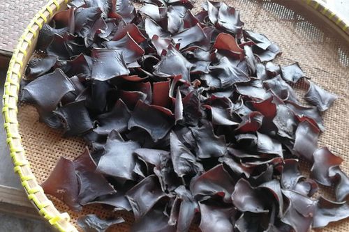 苦槠干丽水野味农产品干货农家自制浙江土特产苦珠橡子豆腐糕250g