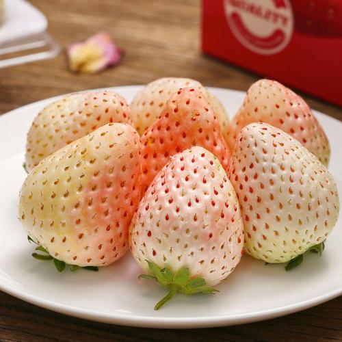 白雪公主属于白草莓的一种,果型桃心型,果型较大,可达50g.