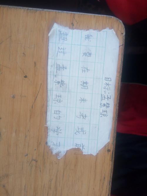 学生的期末学习目标计划
