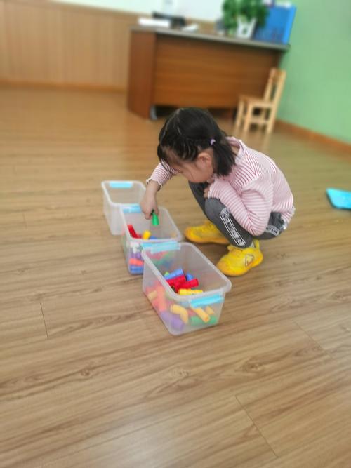 《整理物品要分类》 写美篇 分类整理玩具小游戏