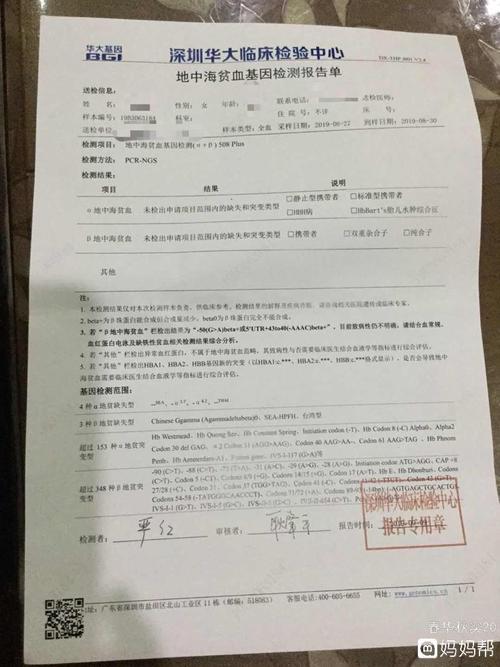 地中海贫血基因检测通过!