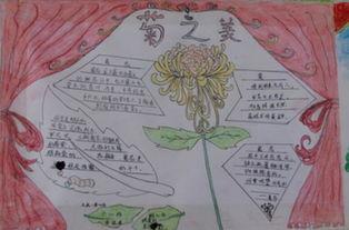 菊花配诗手抄报 古诗手抄报