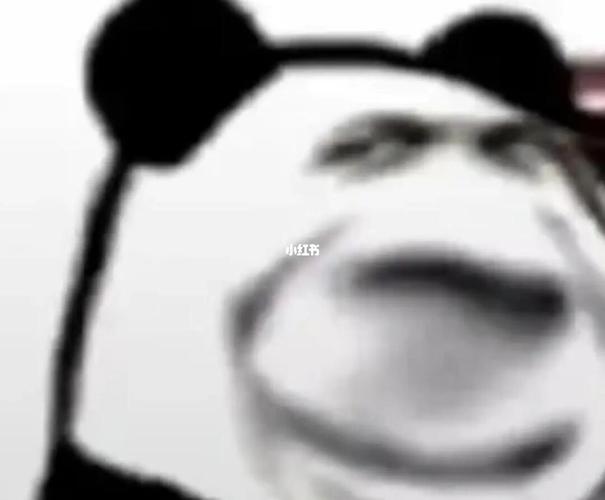 老六表情包949494