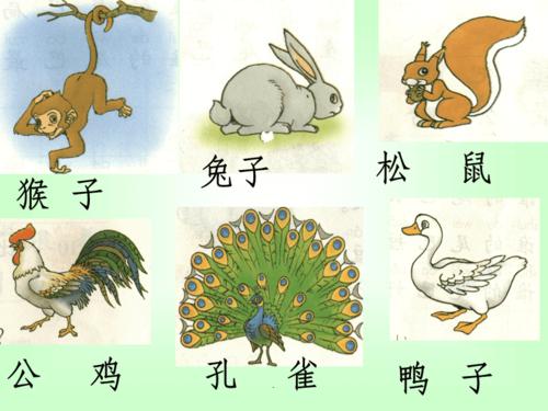 一年级语文比尾巴最新版本