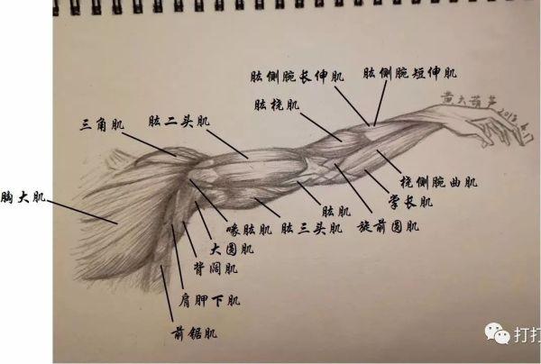 分享一下我练出超级硬手臂肌肉的健身视频可以吗