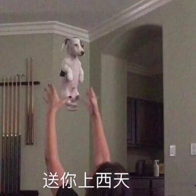 为师送你上西天