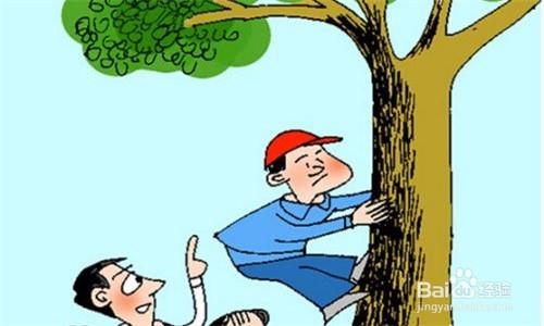 怎样做好爬树的安全保护?