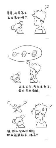 你如何回答孩子:我从哪里来?