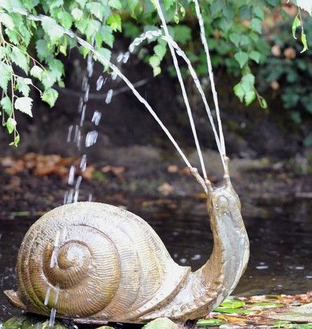  p>蜗牛喜欢在阴暗潮湿,疏松多腐殖质的环境中生活,昼伏夜出,最怕阳光