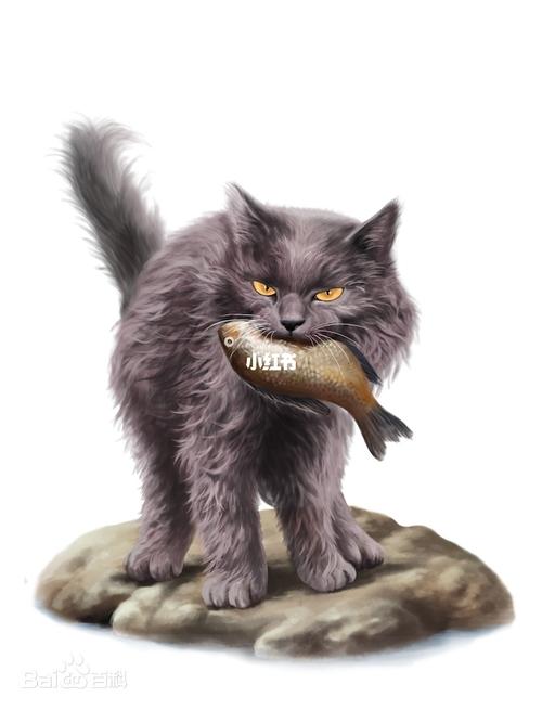 猫武士图片～_猫武士_宠物_猫