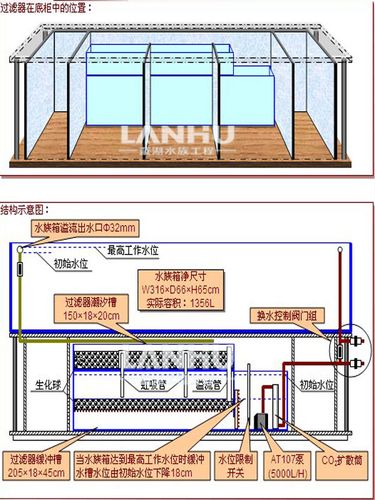 水族箱过滤系统你知多少