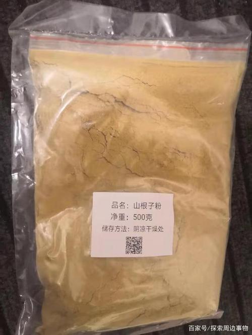 《千金方》中所描述的山根子真的能减肥么?揭秘一下