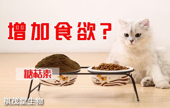 天然糖萜素可以让猫咪戒掉厌食,促进食欲快速长肉!