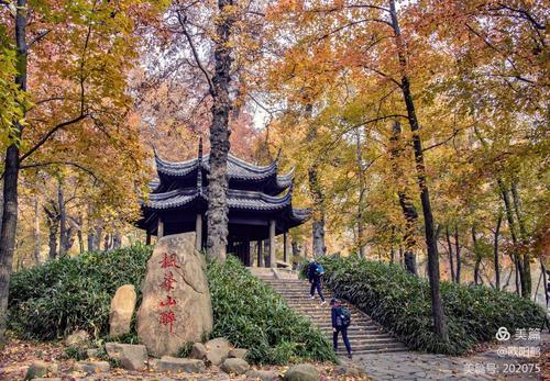 《丹枫烂漫～天平山》 欧阳鹤 摄影