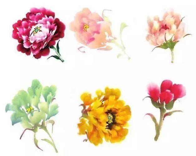 没骨法花头的基本画法花蕊的画法花瓣的画法初学画牡丹花头时,不