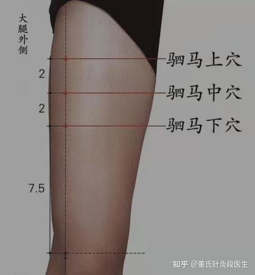 各位同学大家好今天给大家详解董氏针灸驷马穴