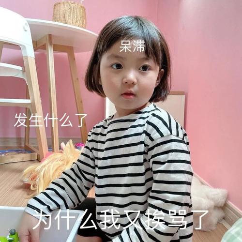 【表情包】丸子妹参加上海时装周