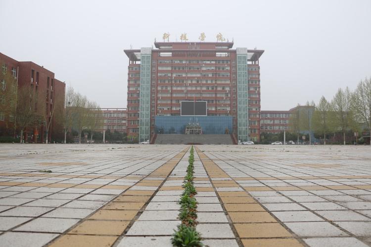 洛阳科技职业学院春日校园风光——春风春雨花经眼,无