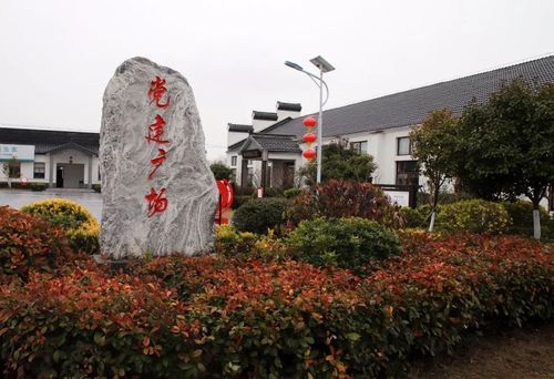 红安村:党建引领描绘乡村振兴新画卷