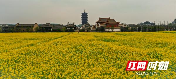 望城区发布《长沙市望城区关于促进乡村旅游增加农民收入的五项措施》