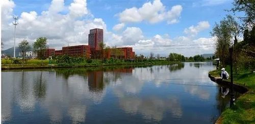 飞云街道汇头村河道