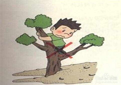禁止爬树卡通简笔画