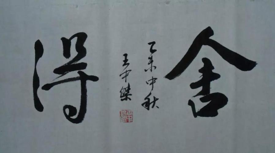 王中杰作品欣赏:书法《舍得》