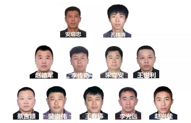 最高奖励20万|哈市警方征集双城"宝忠""小涛"涉黑涉恶