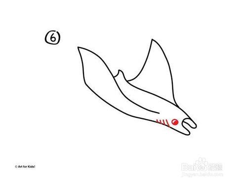 【动物——魔鬼鱼篇】简笔画步骤图