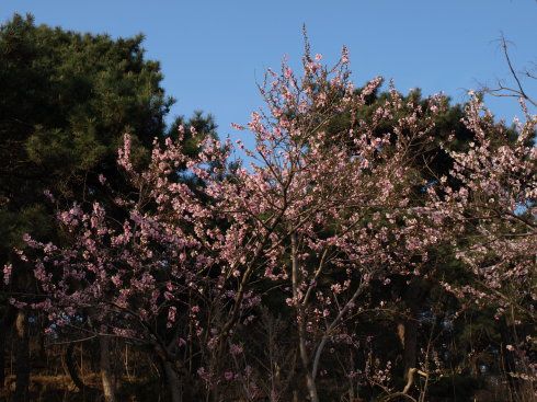 大学毕业那年,我穿着短袖从中原来到威海,这里